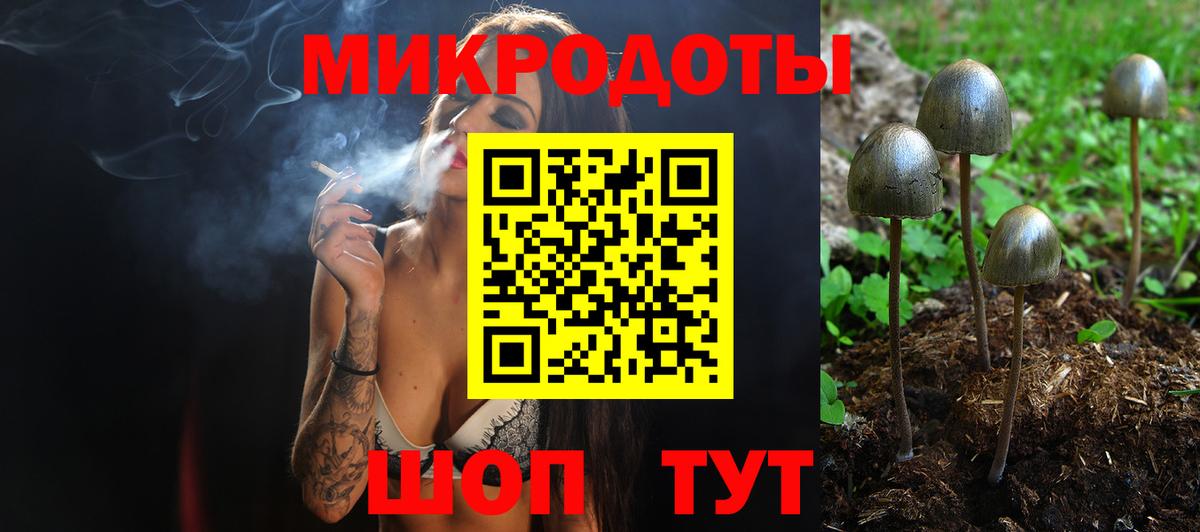 Псилоцибиновые грибы Magic Shrooms  Вход с VPN  Сердобск 