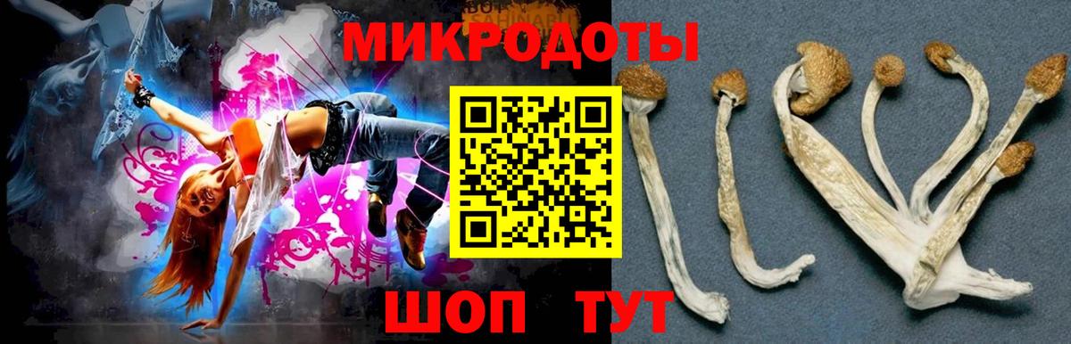 Псилоцибиновые грибы GOLDEN TEACHER Сердобск